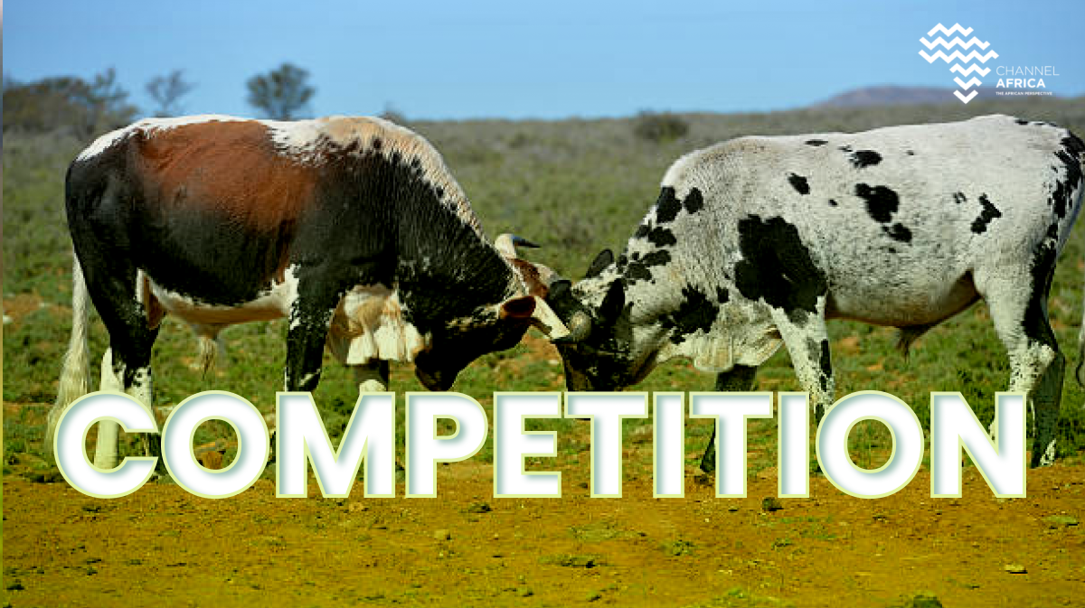 competition Banner Alt